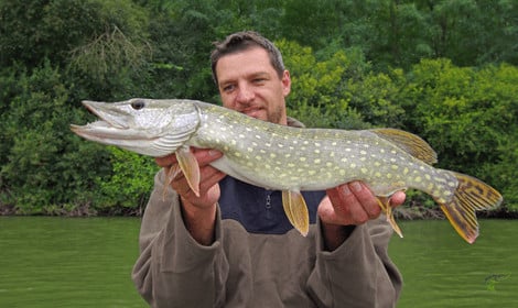 Can you eat pike - Man holding pike to camera