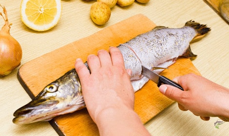 Can you eat pike - Raw northern pike being prepared on board