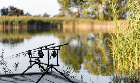 Why Is Carp Fishing So Hard - Carp rods in water on rod pods