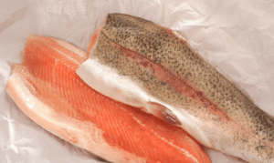 Can you eat trout - Two rainbow trout fillets