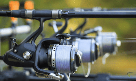 Can Carp See Fishing Line? – Solved