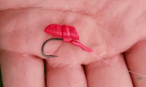 How to Fish a Zig Rig? – Effectiveness, Tying & Tips