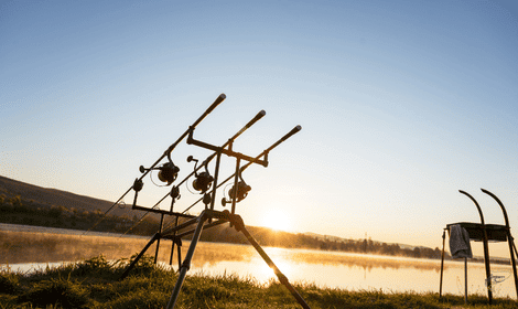 Is Carp Fishing Expensive? – Pricing Lists